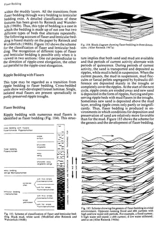 Depositional sedimentary environments