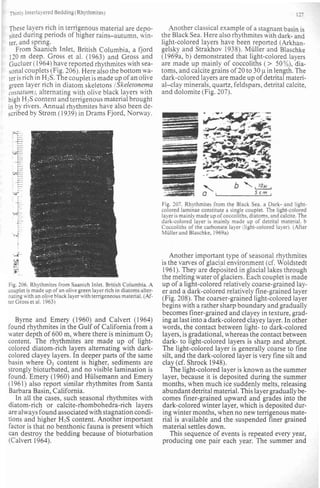 Depositional sedimentary environments