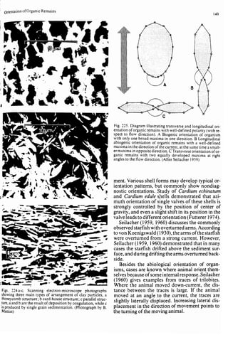 Depositional sedimentary environments