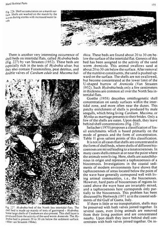 Depositional sedimentary environments
