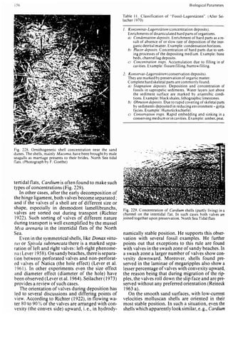Depositional sedimentary environments