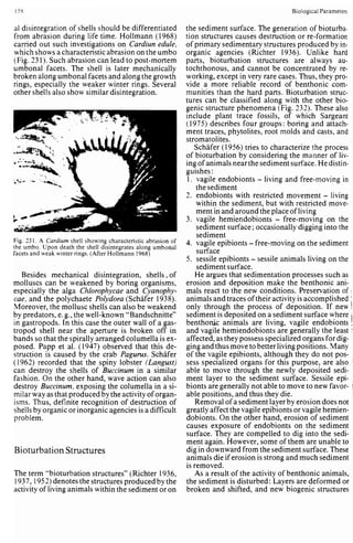 Depositional sedimentary environments
