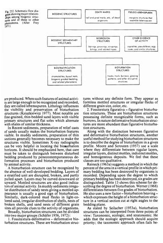 Depositional sedimentary environments