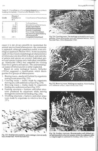 Depositional sedimentary environments