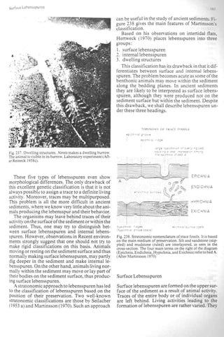 Depositional sedimentary environments