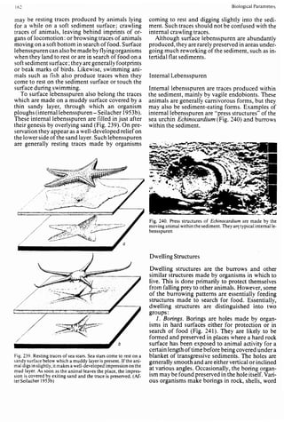 Depositional sedimentary environments