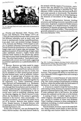 Depositional sedimentary environments