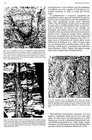 Depositional sedimentary environments