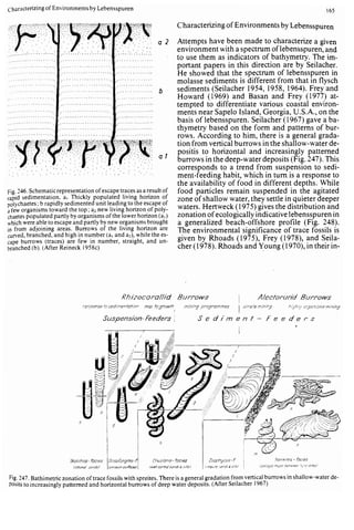 Depositional sedimentary environments