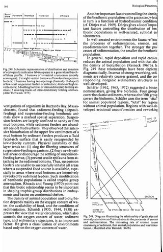 Depositional sedimentary environments