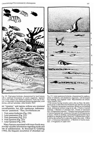 Depositional sedimentary environments