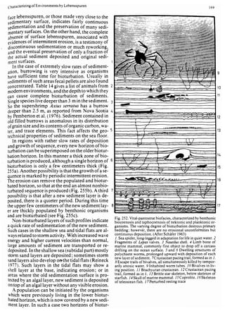 Depositional sedimentary environments