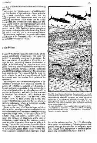 Depositional sedimentary environments