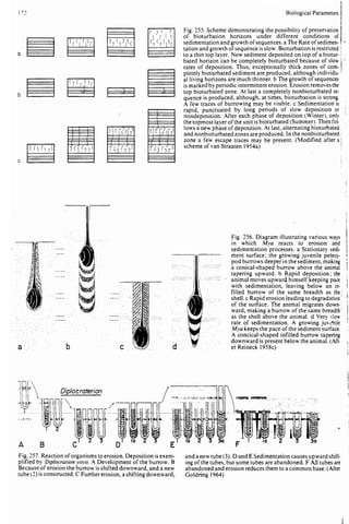 Depositional sedimentary environments