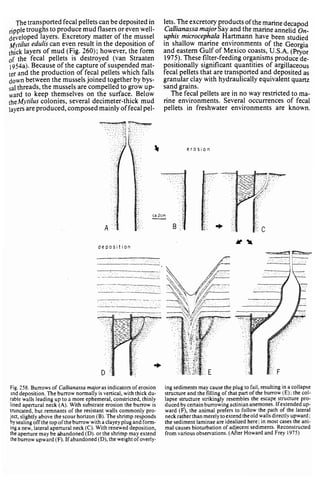 Depositional sedimentary environments