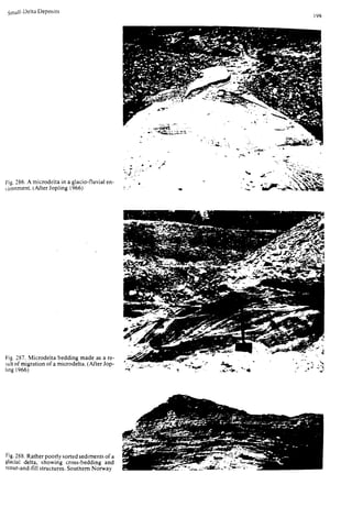 Depositional sedimentary environments