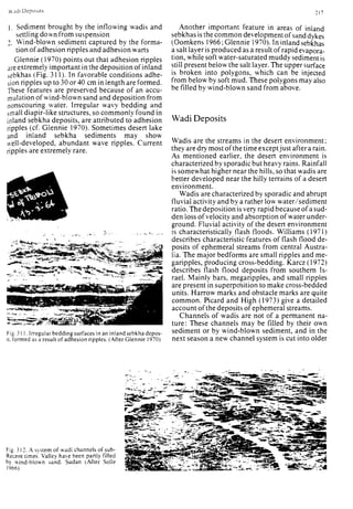 Depositional sedimentary environments