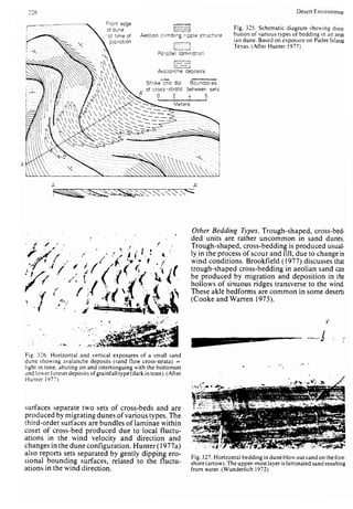 Depositional sedimentary environments