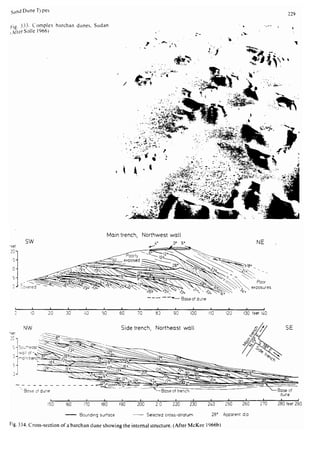 Depositional sedimentary environments