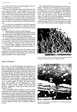 Depositional sedimentary environments