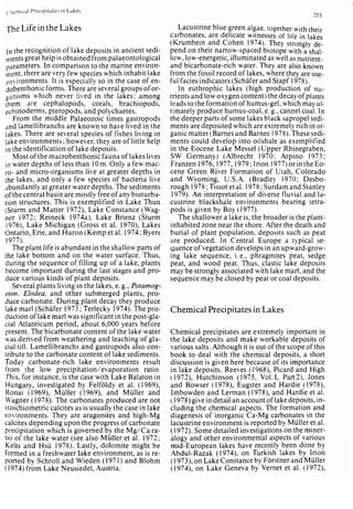 Depositional sedimentary environments