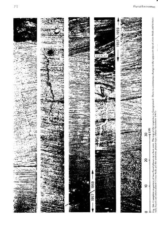 Depositional sedimentary environments