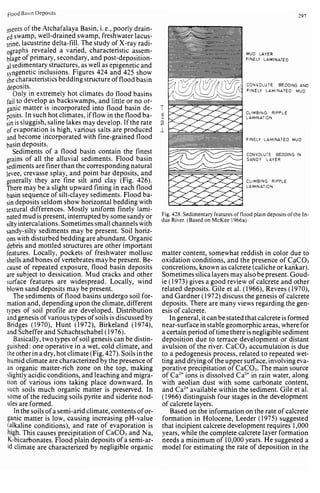 Depositional sedimentary environments