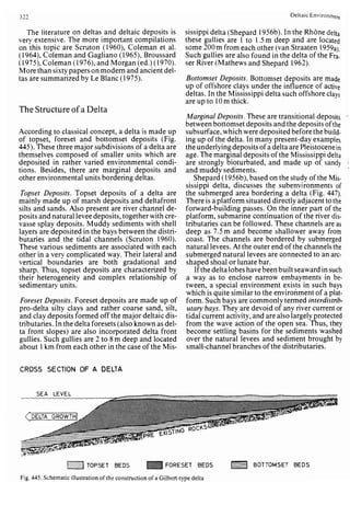 Depositional sedimentary environments