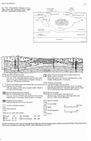 Depositional sedimentary environments