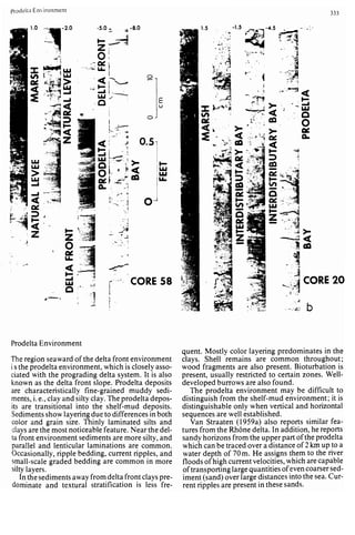 Depositional sedimentary environments