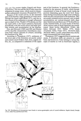 Depositional sedimentary environments