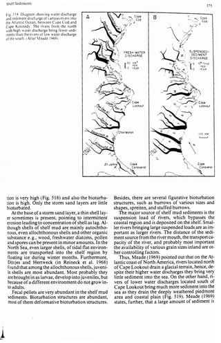 Depositional sedimentary environments