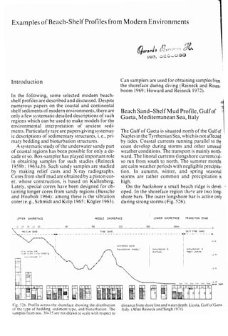 Depositional sedimentary environments