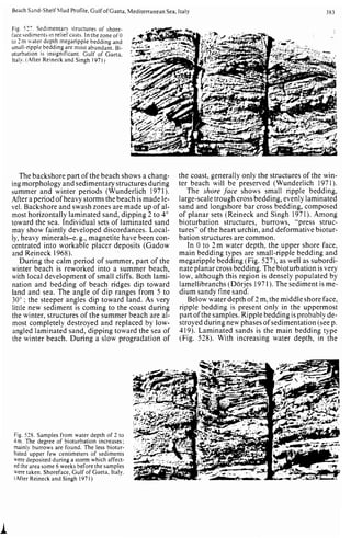 Depositional sedimentary environments