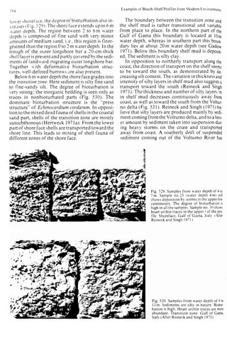Depositional sedimentary environments