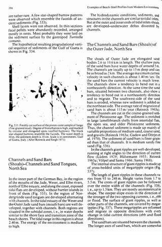Depositional sedimentary environments