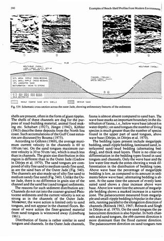 Depositional sedimentary environments