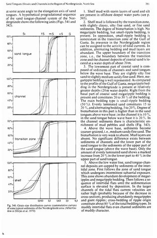 Depositional sedimentary environments