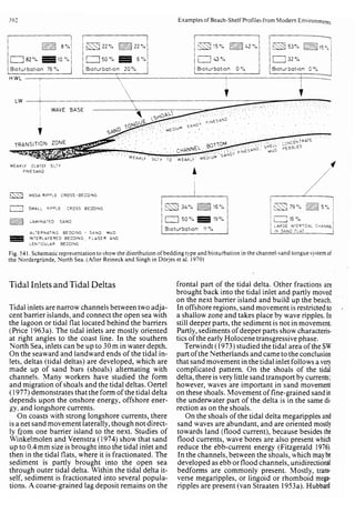 Depositional sedimentary environments