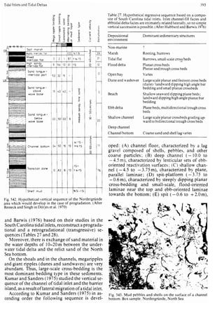 Depositional sedimentary environments