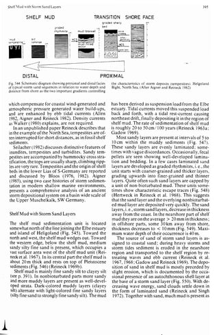 Depositional sedimentary environments