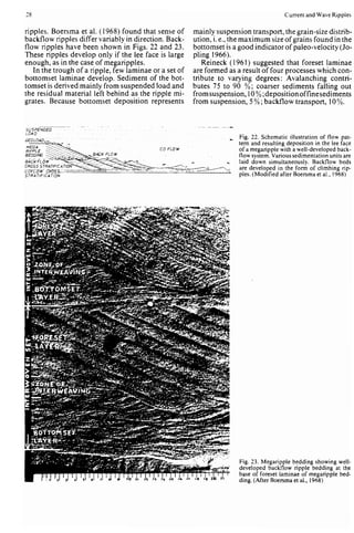 Depositional sedimentary environments