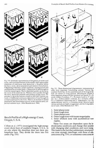 Depositional sedimentary environments