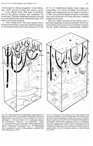 Depositional sedimentary environments
