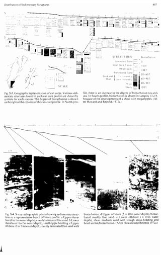 Depositional sedimentary environments