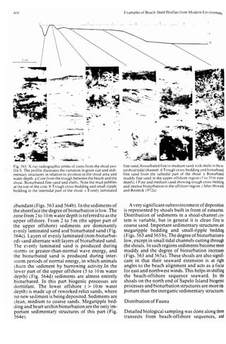 Depositional sedimentary environments
