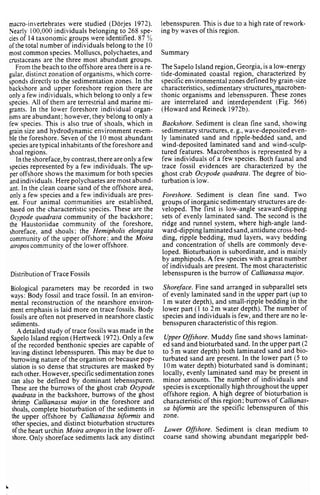 Depositional sedimentary environments