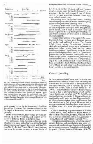 Depositional sedimentary environments