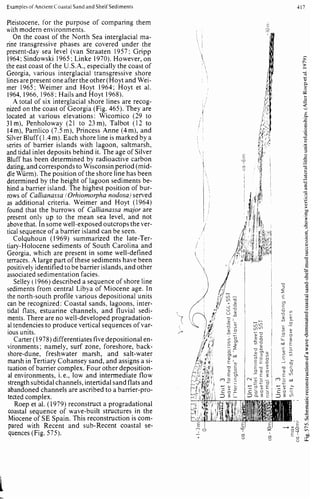 Depositional sedimentary environments