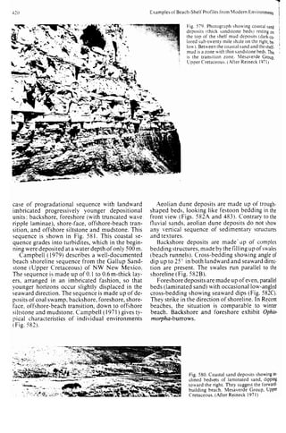 Depositional sedimentary environments